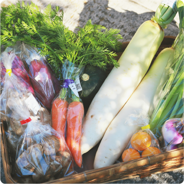 イメージ：愛媛県南予地方や、高知県四万十川流域の新鮮な野菜